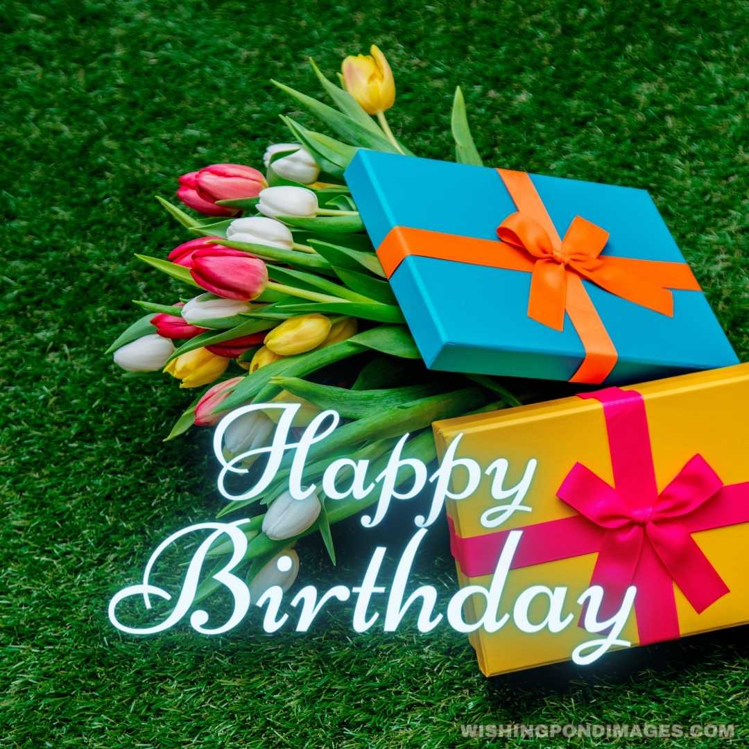 Gift boxes and tulips on green grass lawn - Happy Birthday Flower Images